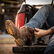 Durango® Maverick XP™ Ventilated Western Work Boot, , large